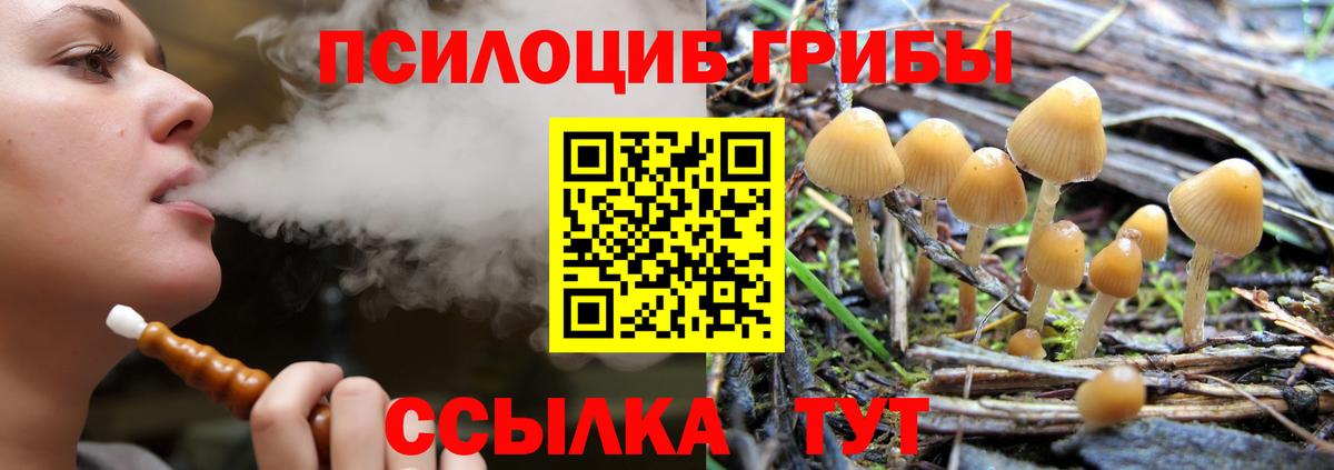 наркота  Вход с VPN  Гуково  Псилоцибиновые грибы GOLDEN TEACHER 